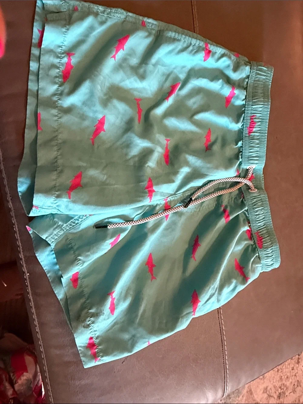 Men's Aqua Swim Trunks with Pink Fish Print